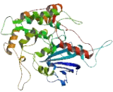 Neurobeachin Like Protein 2 (NBEAL2)