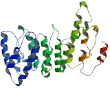 Nucleolar Preribosomal Associated Protein 2 (NPA2)