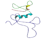 Plasminogen Activator Inhibitor 1 RNA Binding Protein (SERBP1)