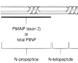 Procollagen II N-Terminal Propeptide (PIINP)