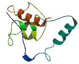 Proprotein Convertase Subtilisin/Kexin Type 1 Inhibitor (PCSK1N)
