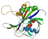 Proteasome Assembly Chaperone 2 (PSMG2)