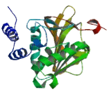 Protein L-Isoaspartate-O-Methyltransferase (PCMT1)