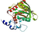 Protein Tyrosine Phosphatase, Non Receptor Type 6 (PTPN6)
