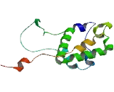RUN Domain Containing Protein 2A (RUNDC2A)