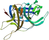 Ribosomal Protein S4, X-Linked (RPS4X)