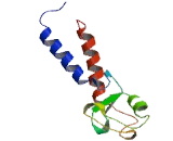 Ring Finger Protein 180 (RN<b>F180</b>)