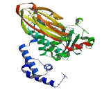 SEC14 Like Protein 6 (SEC14L6)