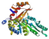 Serine Palmitoyltransferase, Long Chain Base Subunit 3 (SPTLC3)