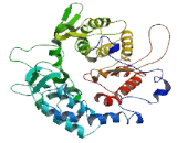 Spermatogenesis Associated Protein 20 (SPATA20)