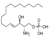 Sphingosine-1-Phosphate (S1P)
