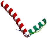 TATA Box Binding Protein Associated Factor 4 (TAF4)