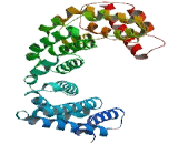 Testis Expressed Protein 9 (TEX9)