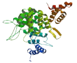 Tetratricopeptide Repeat Domain Protein 23 (TTC23)