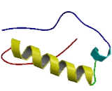 Transmembrane Protease Serine 11B N-Terminus Like Protein (TMPRSS11BNL)