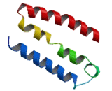 Transmembrane Protein 216 (TME<b>M216</b>)