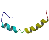 Transmembrane Protein 27 (TMEM27)