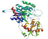 UDP Glucuronosyltransferase 2 Family, Polypeptide B2 (UGT2B2)