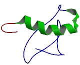 Urotensin 2 Domain Containing Protein (UTS2D)