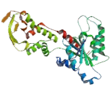 Vacuolar Protein Sorting 4B (VPS4B)