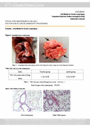 Rat-Model-for-Acute-Lung-Injury-DSI524Ra01.pdf