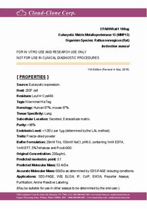 Eukaryotic-Matrix-Metalloproteinase-13--MMP13--EPA099Ra61.pdf