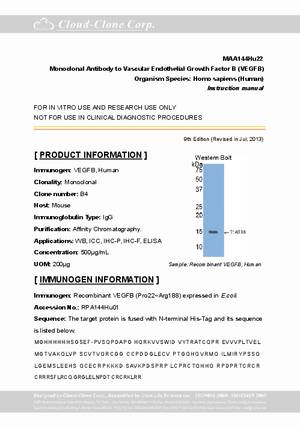 Monoclonal-Antibody-to-Vascular-Endothelial-Growth-Factor-B--VEGFB--MAA144Hu22.pdf