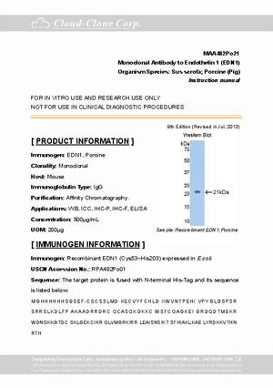 Monoclonal-Antibody-to-Endothelin-1--EDN1--MAA482Po21.pdf