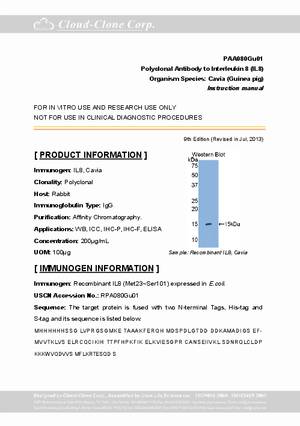 Antibody-to-Interleukin-8--IL8--A90080Gu01.pdf