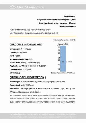 Polyclonal-Antibody-to-Neurotrophin-4--NT4--PAA107Mu01.pdf