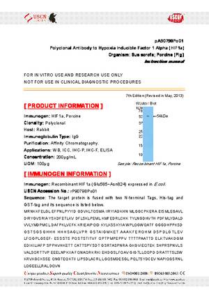 Polyclonal-Antibody-to-Hypoxia-Inducible-Factor-1-Alpha--HIF1a--pA90798Po01.pdf
