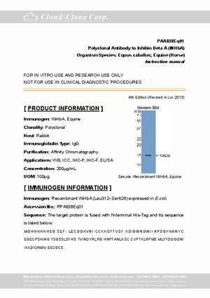 Polyclonal-Antibody-to-Inhibin-Beta-A--INHbA--PAA838Eq01.pdf