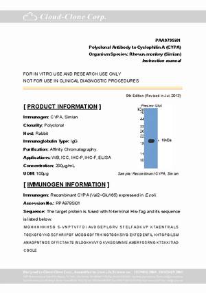 Antibody-to-Cyclophilin-A--CYPA--A90979Si01.pdf