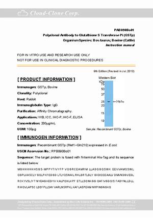 Antibody-to-Glutathione-S-Transferase-Pi--GSTp--A91090Bo01.pdf