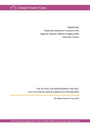 Polyclonal-Antibody-to-Involucrin-(iNV)-PAB331Ra01.pdf