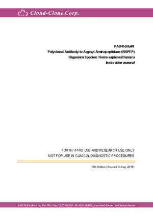Polyclonal-Antibody-to-Arginyl-Aminopeptidase-(RNPEP)-PAB455Hu01.pdf