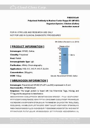 Polyclonal-Antibody-to-Nuclear-Factor-Kappa-B2--NFkB2--PAB825Ga01.pdf
