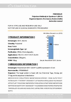 Polyclonal-Antibody-to-Syndecan-1--SDC1--PAB966Bo01.pdf