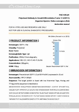 Polyclonal-Antibody-to-Growth-Differentiation-Factor-11--GDF11--PAC113Ra01.pdf
