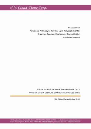 Polyclonal-Antibody-to-Ferritin--Light-Polypeptide-(FTL)-PAD020Bo01.pdf
