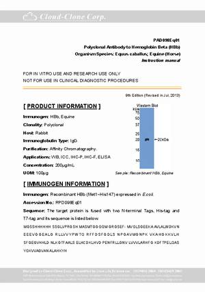 Polyclonal-Antibody-to-Hemoglobin-Beta--HBb--PAD098Eq01.pdf