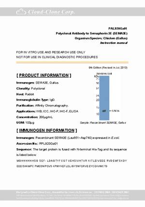 Polyclonal-Antibody-to-Semaphorin-3E--SEMA3E--PAL920Ga01.pdf
