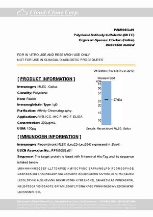 Antibody-to-Malectin--MLEC--A81908Ga01.pdf