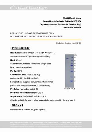 Cadherin--Epithelial--CDHE--rP90017Po01.pdf
