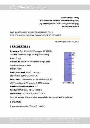 Selectin--Endothelium--SELE--rP90029Po03.pdf