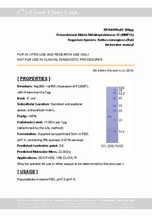 Matrix-Metalloproteinase-13--MMP13--P90099Ra02.pdf