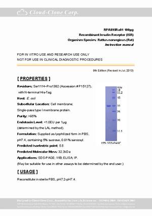 Insulin-Receptor--ISR--rP90895Ra01.pdf