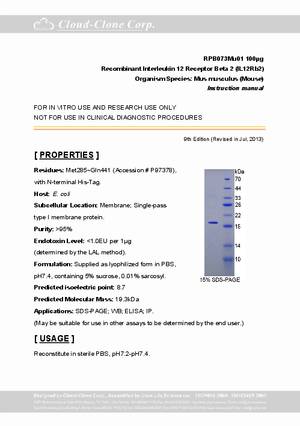 Interleukin-12-Receptor-Beta-2--IL12Rb2--P91073Mu01.pdf
