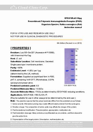 Polymeric-Immunoglobulin-Receptor--PIGR--P91074Ra01.pdf