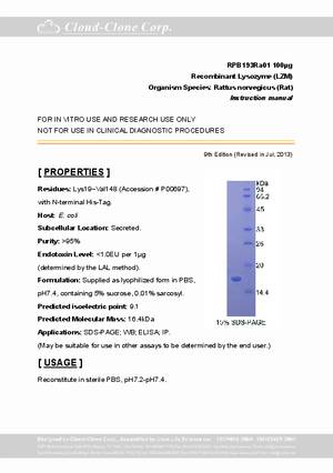 Lysozyme--LZM--rP91193Ra01.pdf